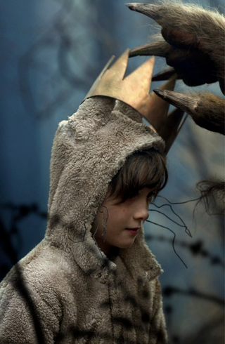 Illustration for article titled Where The Wild Things Are Gallery
